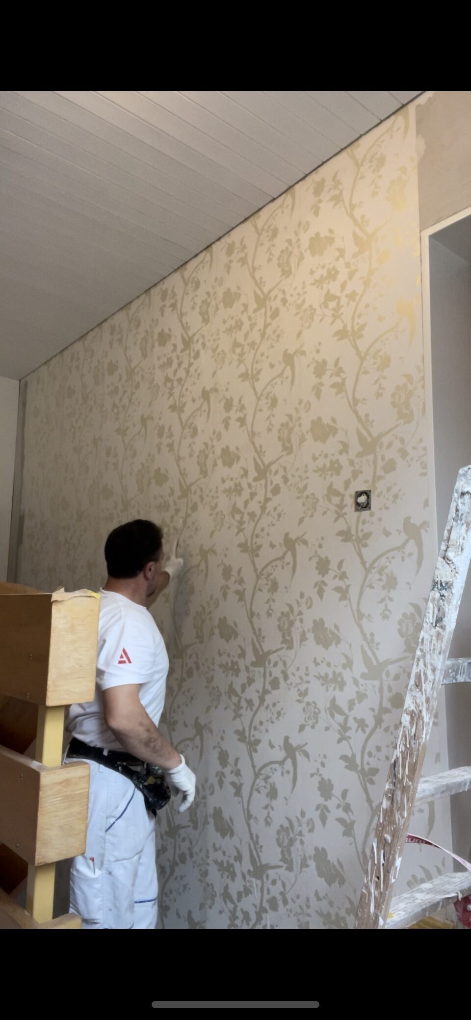 Tapete wird an die Wand gesetzt